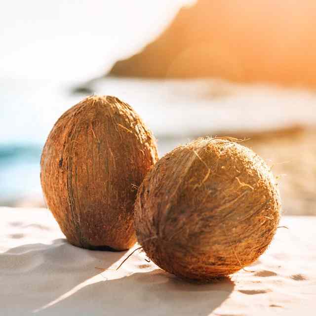  как растут кокосы